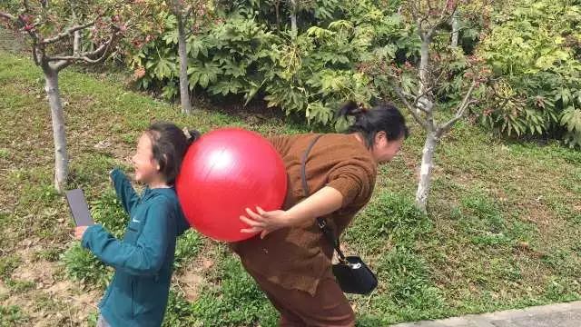 【同心·同行·同公益】第十一屆飛力達(dá)徒步活動節(jié)活動圖錦